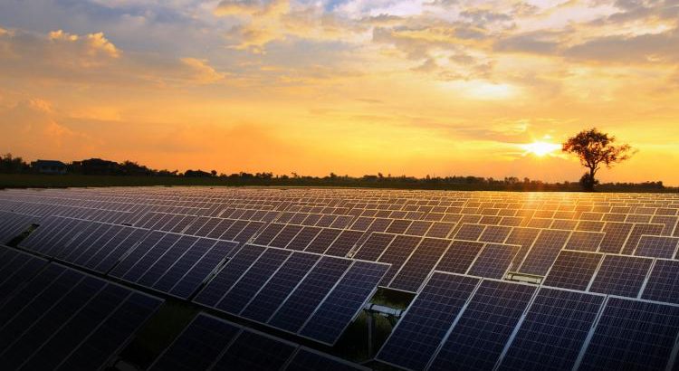 Venta de Paneles Solares en Cuernavaca. Venta de Paneles Solares en Jiutepec. Venta de Paneles Solares en Cuautla. Venta de Paneles Solares en Temixco. Venta de Paneles Solares en Yautepec. Venta de Paneles Solares en el Estado de Morelos. Venta de Paneles Solares en CDMX. Venta de Paneles Solares en Ciudad de México. Venta de Paneles Solares en Distrito Federal. Venta de Paneles Solares en México